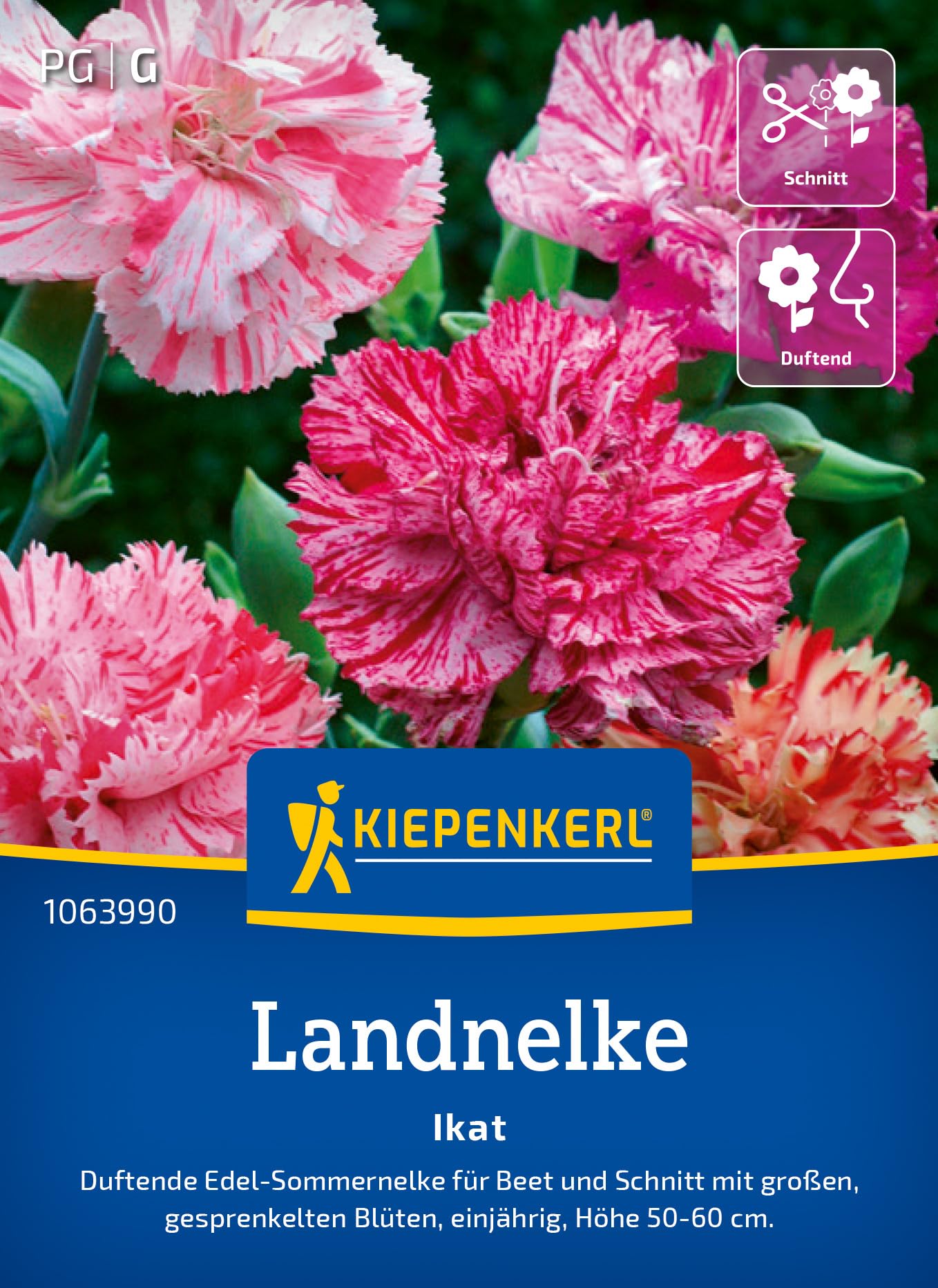 kiepenkerl-malvensamen-zebrina-1063500-blumensaat image 8