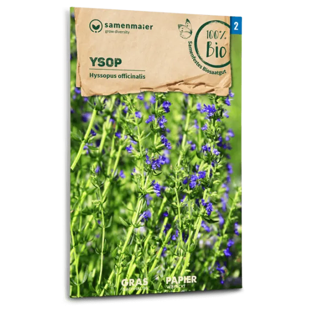 samen-maier-bio-ysop-kr-utersamen-blauviolett-bl-hend image 1