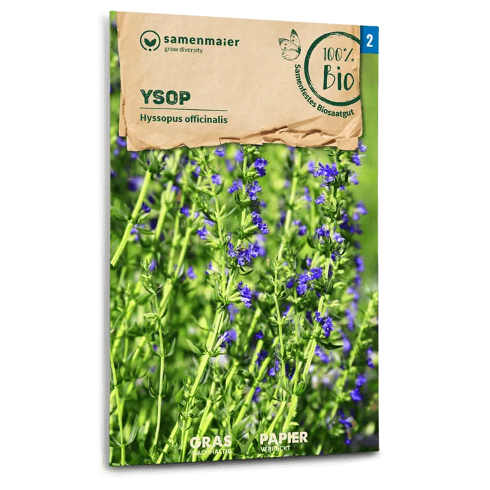 samen-maier-bio-ysop-kr-utersamen-blauviolett-bl-hend image 1