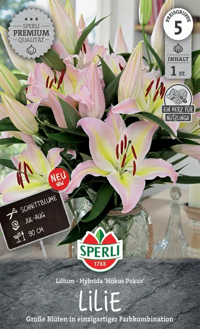 sperli-lilie-hokus-pokus-blumenzwiebeln-dreifarbig-90-100-cm-winterhart image 1