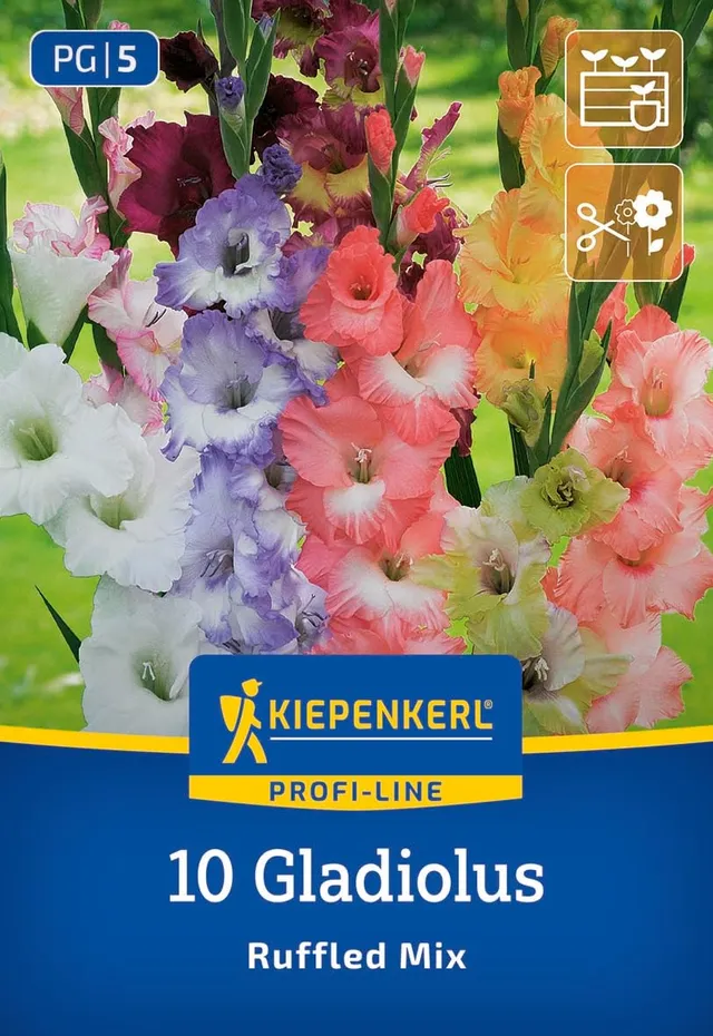 kiepenkerl-profi-line-gladiole-ruffeld-mix-blumenzwiebeln-120-cm image 1