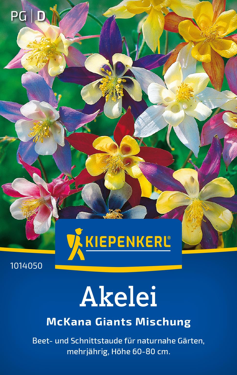 kiepenkerl-lavendel-echter-speik-1012850-kr-utersamen image 8