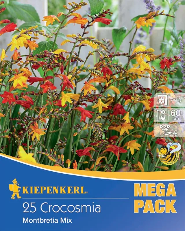kiepenkerl-montbretien-mischung-blumenzwiebeln-rot-orange-60-cm-schnittblume image 1