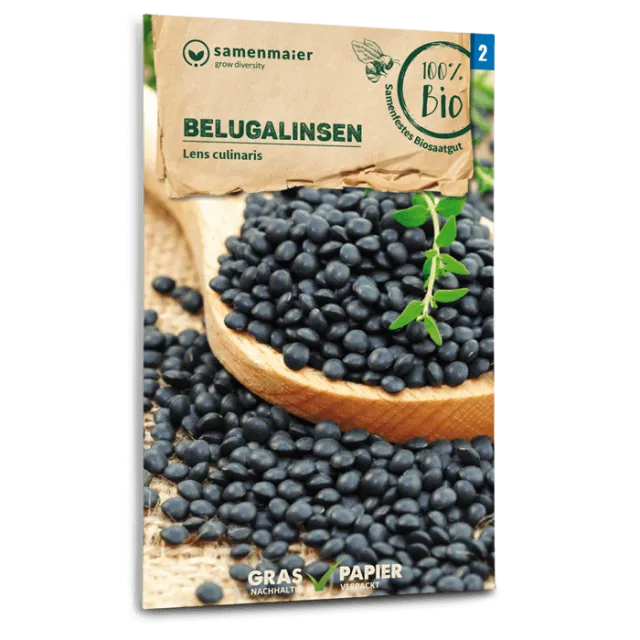 samen-maier-bio-belugalinsen-linsensamen image 1
