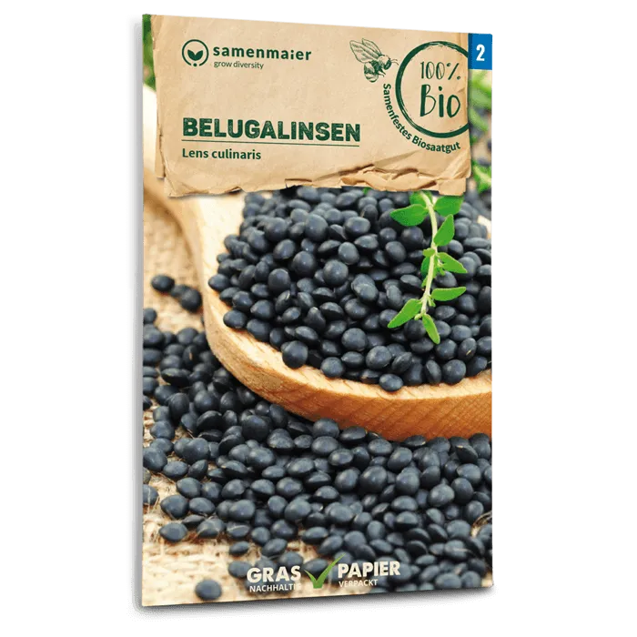 samen-maier-bio-belugalinsen-linsensamen image 1