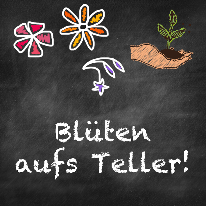 samen-maier-beet-box-bl-ten-aufs-teller-essblumen-set image 7
