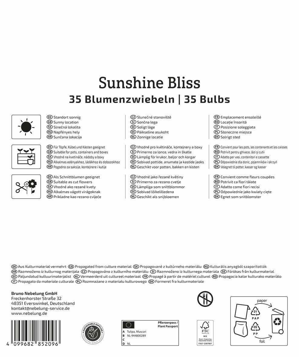 kiepenkerl-mega-pack-blumenzwiebelmischung-sunshine-bliss-mix-2875040-rot-gelb-b image 2