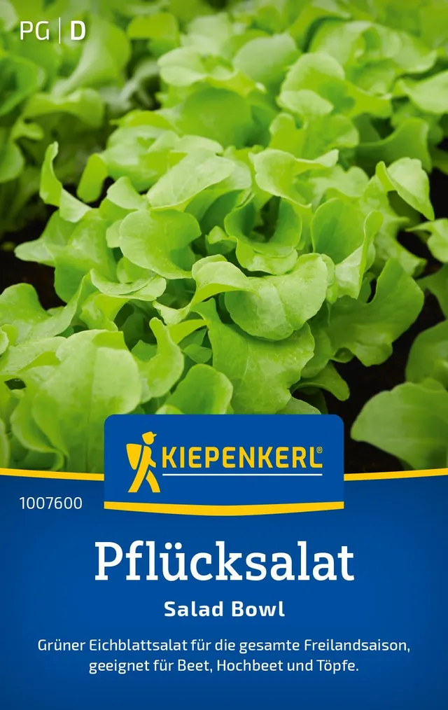 kiepenkerl-pfl-cksalatsamen-salad-bowl-1007600-gem-sesaat image 1
