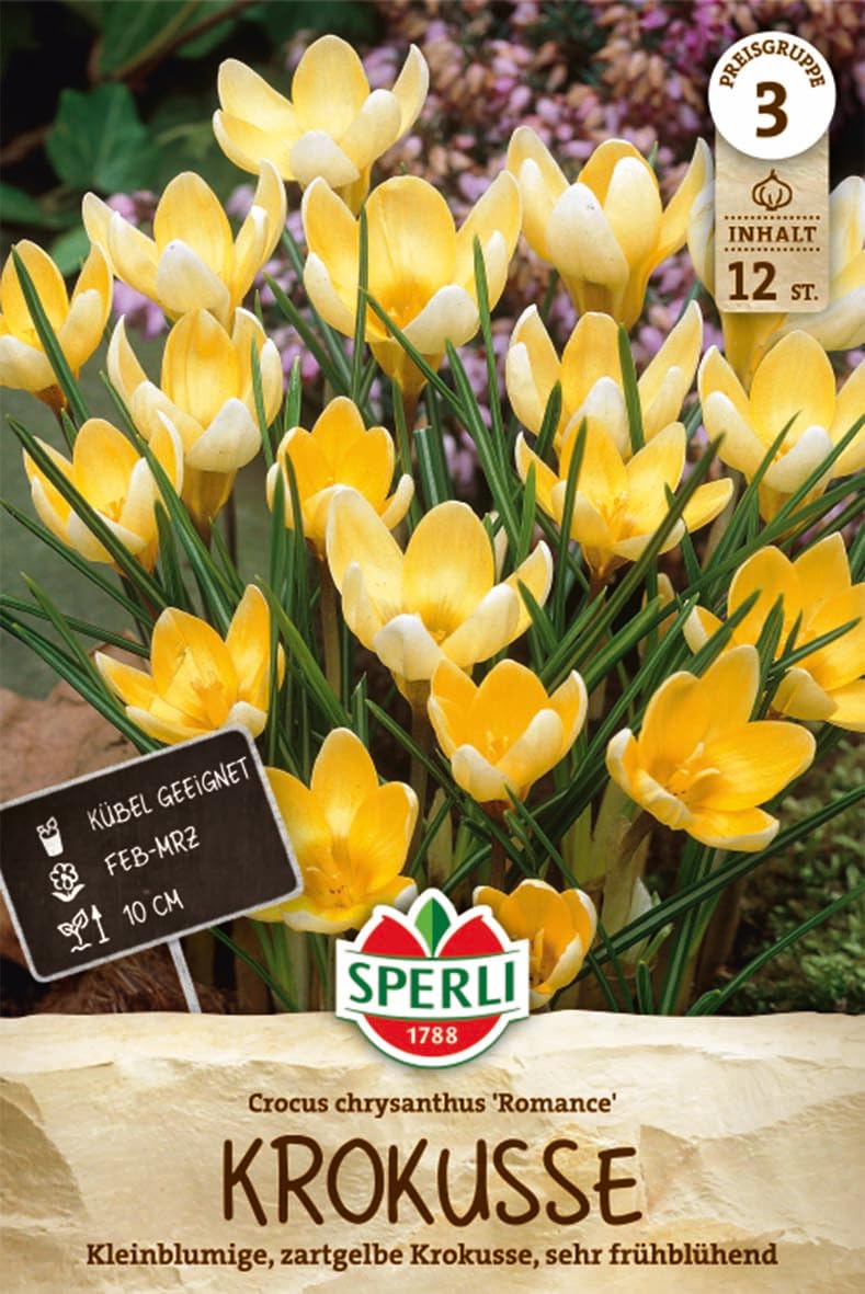 sperli-wildkrokus-romance-459234-blumenzwiebeln-winterhart-mehrj-hrig image 1