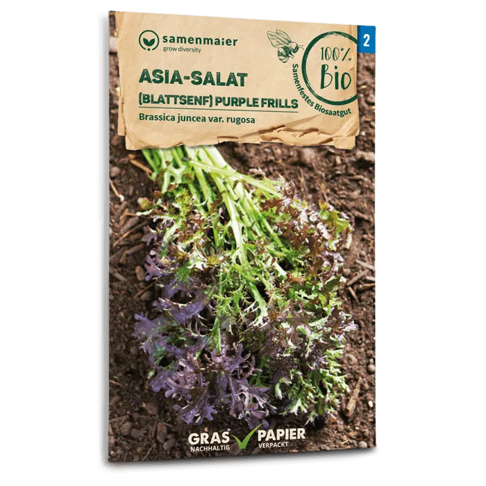 samen-maier-bio-asia-salat-purple-frills-blattsenf-samen image 1