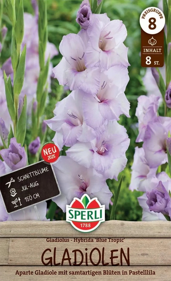 sperli-gladiole-blue-tropic-blumenzwiebeln-pastelllila-schnittblume-ca-120-cm image 1