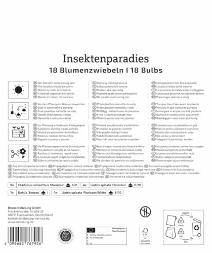 kiepenkerl-mega-pack-blumenzwiebelmischung-insektenparadies-3825015-mehrj-hrig-w image 8