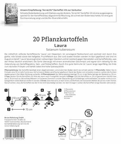 kiepenkerl-pflanzkartoffel-laura-20-st-ck-mittelfr-he-speisekartoffel image 4