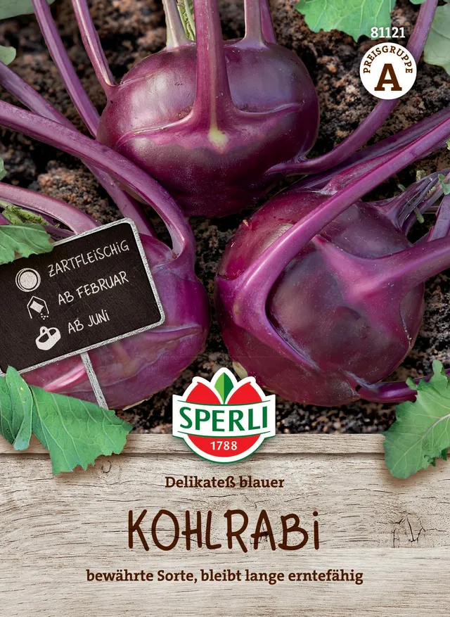 sperli-kohlrabi-delikate-blauer-81121-gem-sesaat image 1
