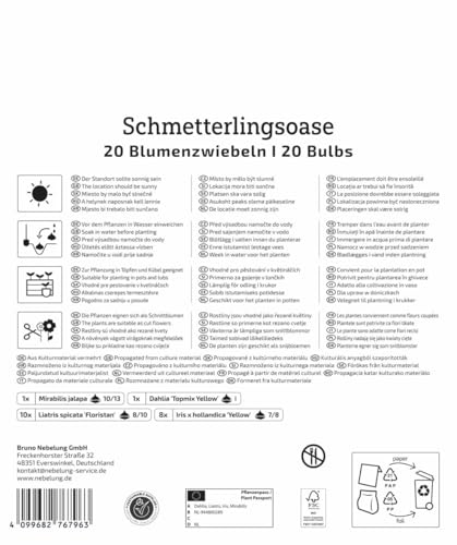 kiepenkerl-mega-pack-schmetterlingsoase-blumenzwiebelmischung-bienenfreundlich image 8