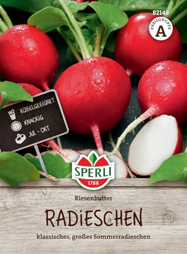 sperli-buschbohne-riesenbutter-82148-gem-sesamen-gelbe-wachsbohne image 7