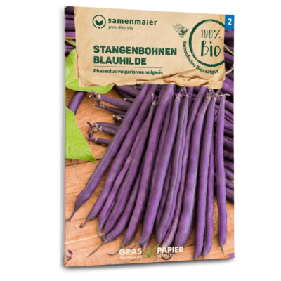 samen-maier-bio-stangenbohnen-blauhilde-bohnensamen image 3