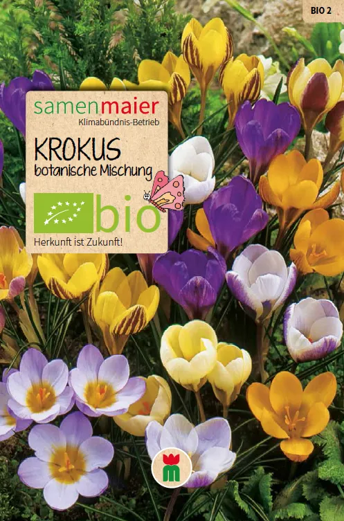 samen-maier-bio-krokus-botanische-mischung-blumenzwiebeln image 1