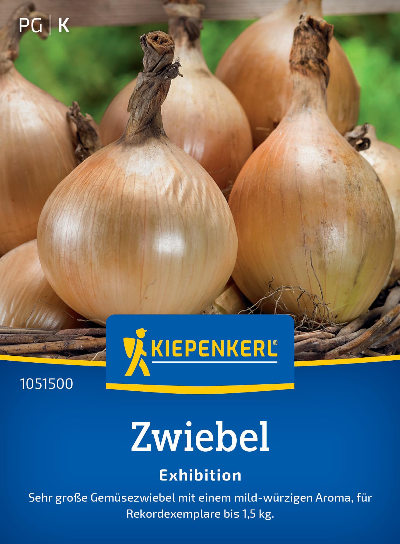 kiepenkerl-kirsch-tomate-pano-rot-gem-sesaatgut image 7