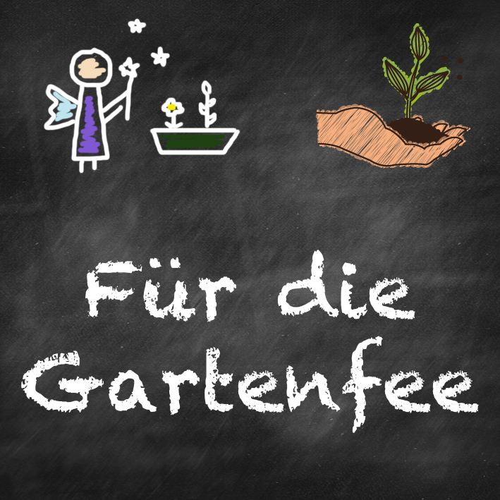 samen-maier-beet-box-f-r-die-gartenfee-5-sorten-set image 7
