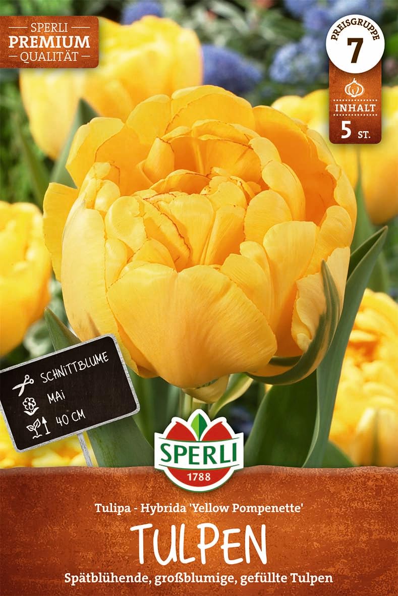 sperli-gef-llte-sp-te-tulpe-yellow-pompenette-456424-gelb-40-cm image 1