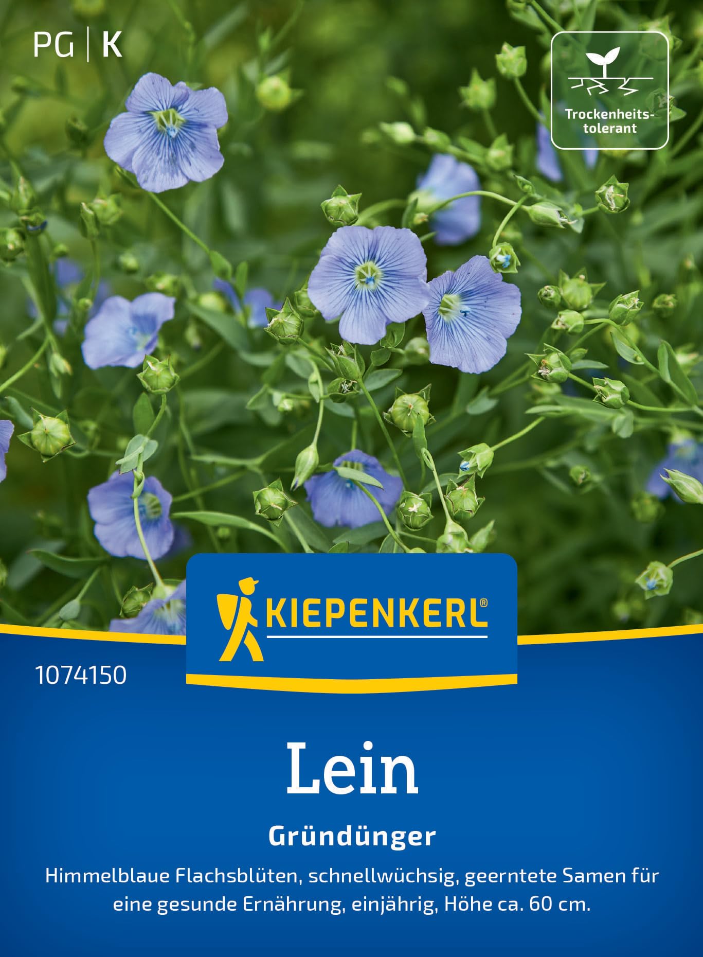 kiepenkerl-phaceliasamen-bienenfreund-1074350-gr-nd-ngungssaat image 7