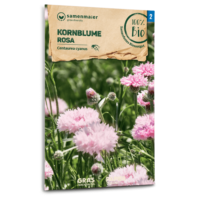 samen-maier-bio-kornblume-rosa-blumensamen-60-80-cm image 1