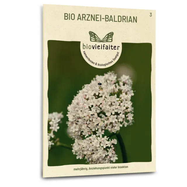 samen-maier-bio-arznei-baldrian-samen-heil-und-duftstaude image 1