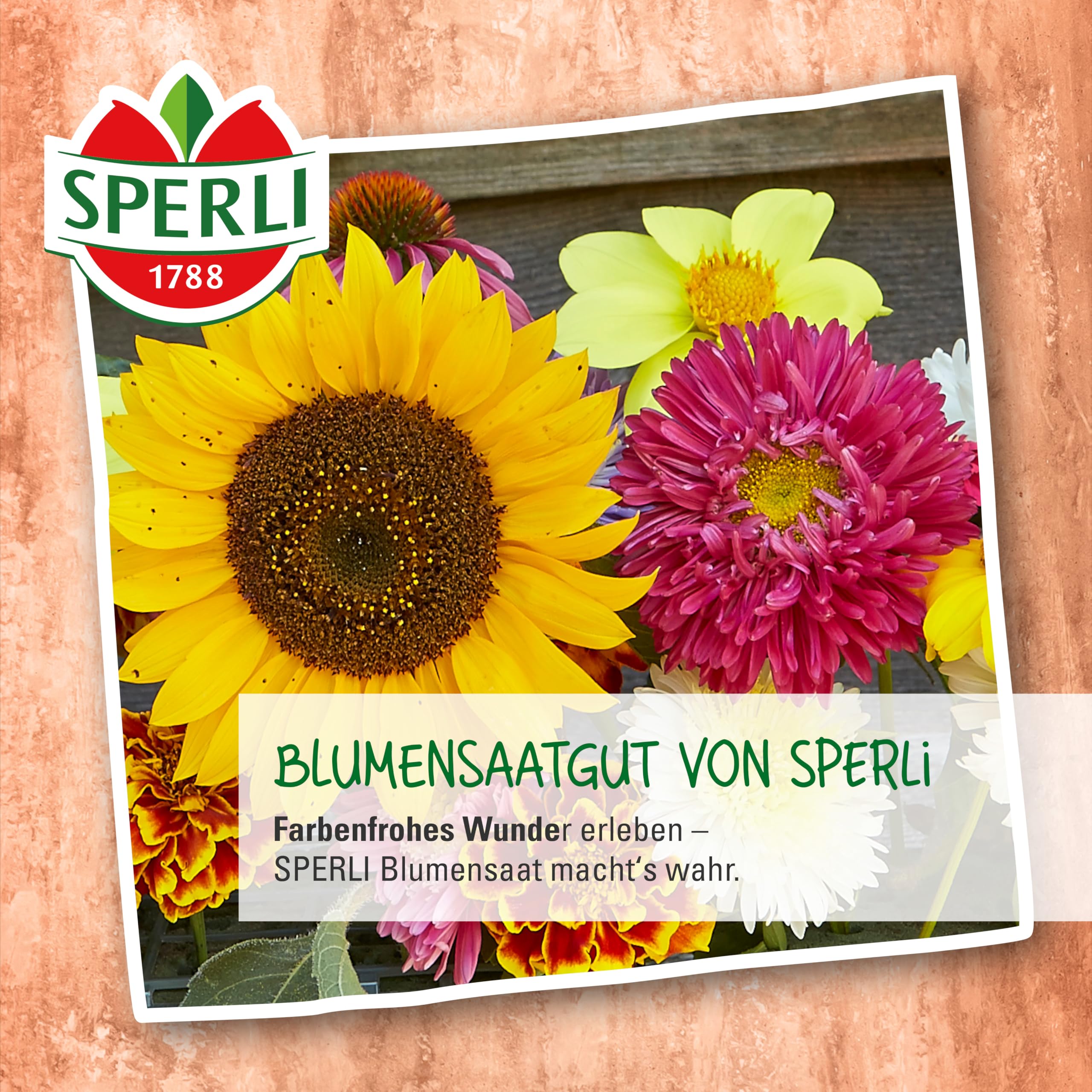 sperli-islandmohn-zauberspiel-86135-blumensaat-f-r-pastellfarbene-bl-ten image 5