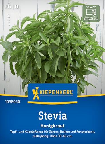 kiepenkerl-profi-line-stevia-honigkraut-kr-utersaat image 7