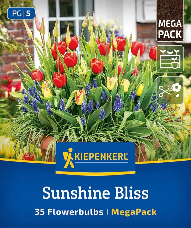 kiepenkerl-mega-pack-blumenzwiebelmischung-sunshine-bliss-mix-2875040-rot-gelb-b image 1