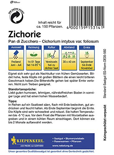 kiepenkerl-314-zichorie-zuckerhut-chicor-esamen image 2