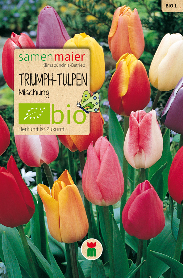 samen-maier-bio-triumph-tulpen-mischung-1-bio-blumenzwiebeln-gemischt image 1