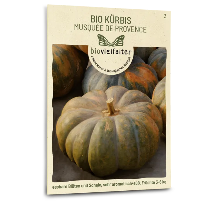 samen-maier-bio-k-rbis-musqu-e-de-provence-k-rbissamen image 1