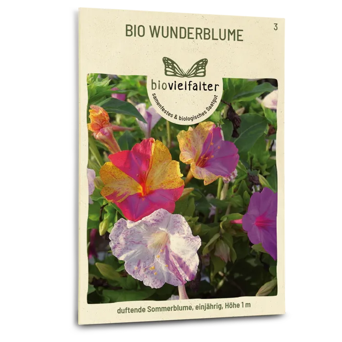 samen-maier-bio-wunderblume-blumensamen-60-100-cm image 1