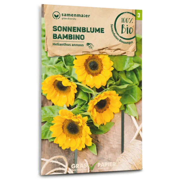samen-maier-bio-sonnenblume-bambino-blumensamen-kompakt-40-60-cm image 1