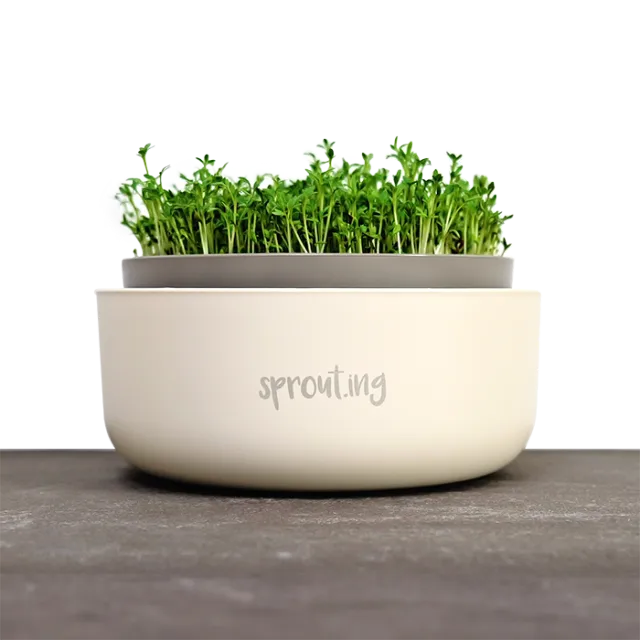samen-maier-sprossen-anzuchtschale-keimschale-f-r-microgreens image 1