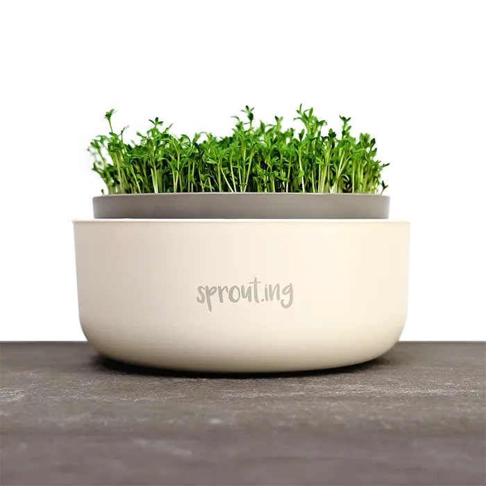 samen-maier-sprossen-anzuchtschale-keimschale-f-r-microgreens image 1