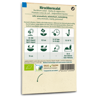 samen-maier-bio-hirschhornsalat-saatgut-f-r-freiland image 4