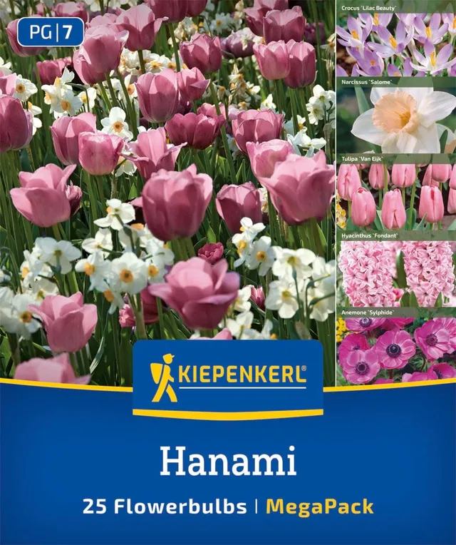 kiepenkerl-mega-pack-blumenzwiebelmischung-hanami-mix-2875049-fr-hbl-her-blumenz image 1