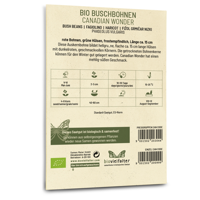 samen-maier-bio-buschbohnen-canadian-wonder-bohnen-saatgut image 2