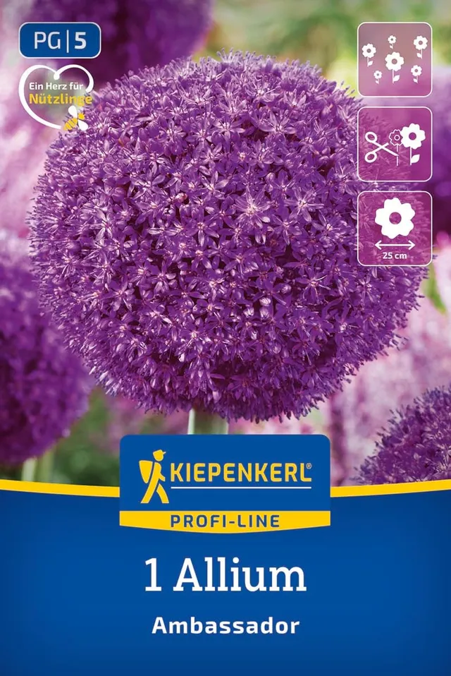 kiepenkerl-profi-line-zierlauch-ambassador-blumenzwiebeln-blauviolett-100-cm image 1