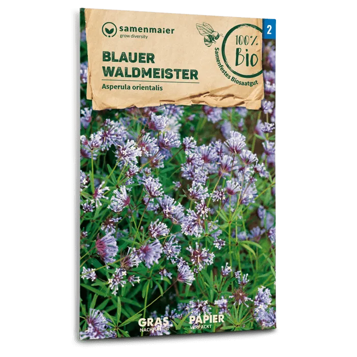 samen-maier-bio-blauer-waldmeister-15-25-cm image 1