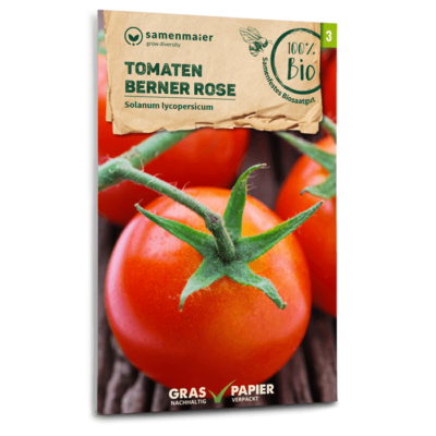 samen-maier-bio-tomaten-berner-rose-fleischtomate-saatgut image 3