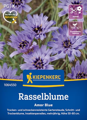 kiepenkerl-rasselblumensamen-amor-blue-blumensaat image 7
