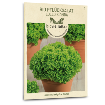 samen-maier-bio-pfl-cksalat-lollo-bionda-saatgut-f-r-folgesaaten image 3