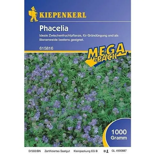 kiepenkerl-phacelia-gr-nd-nger-mega-pack-1-kg-bienenfreund-bodenverbesserung image 1