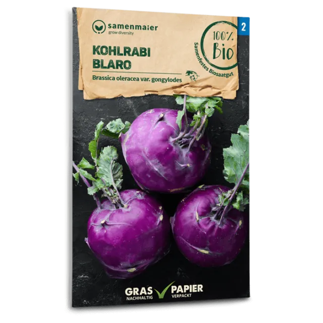 samen-maier-bio-kohlrabi-blaro-gem-sesamen image 1