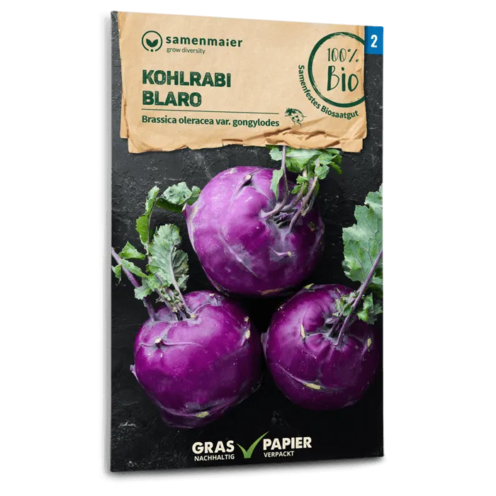 samen-maier-bio-kohlrabi-blaro-gem-sesamen image 1