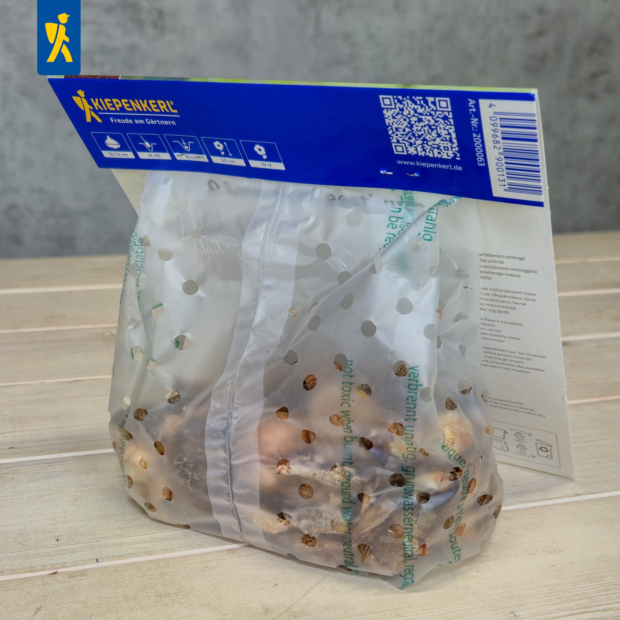 kiepenkerl-sommerknotenblume-leucojum-aestivum-mega-pack-20-pflanzen-wei image 5